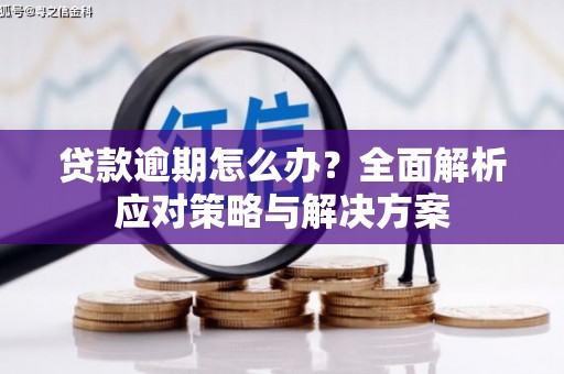 闻喜贷款逾期怎么办？全面解析应对策略与解决方案