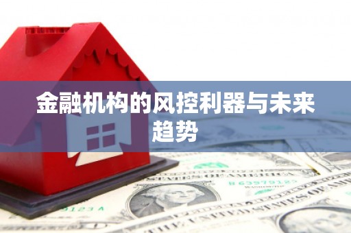 闻喜金融机构的风控利器与未来趋势