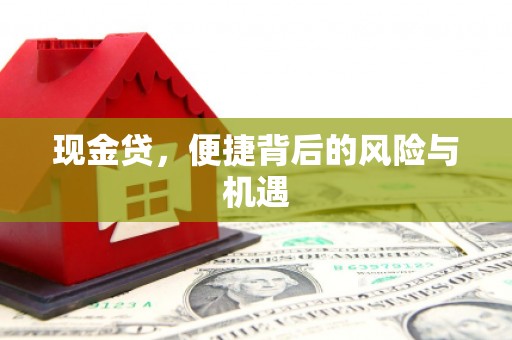 闻喜现金贷，便捷背后的风险与机遇