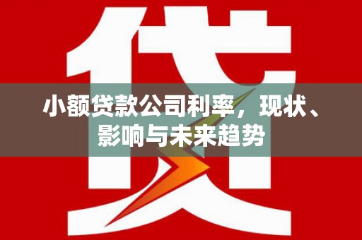 闻喜小额贷款公司利率，现状、影响与未来趋势