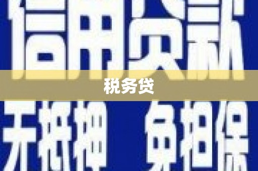 闻喜税务贷