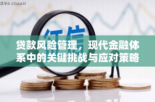 闻喜贷款风险管理，现代金融体系中的关键挑战与应对策略