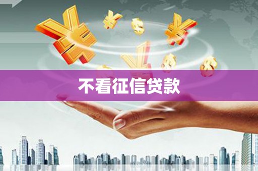 闻喜不看征信贷款