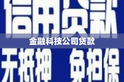 闻喜金融科技公司贷款