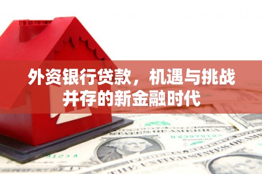 闻喜外资银行贷款，机遇与挑战并存的新金融时代