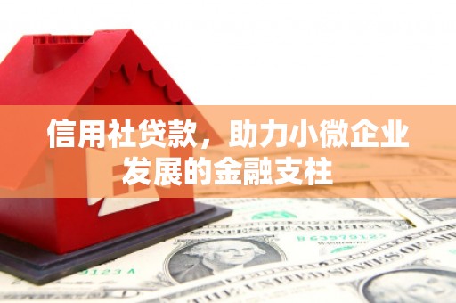 闻喜信用社贷款，助力小微企业发展的金融支柱