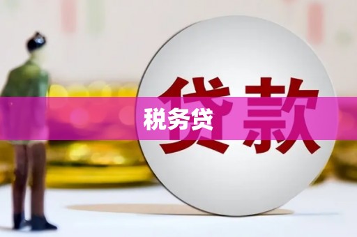 闻喜税务贷
