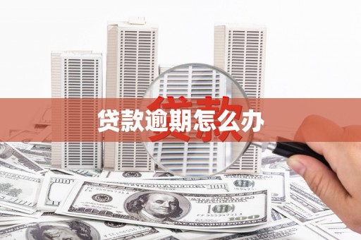 闻喜贷款逾期怎么办