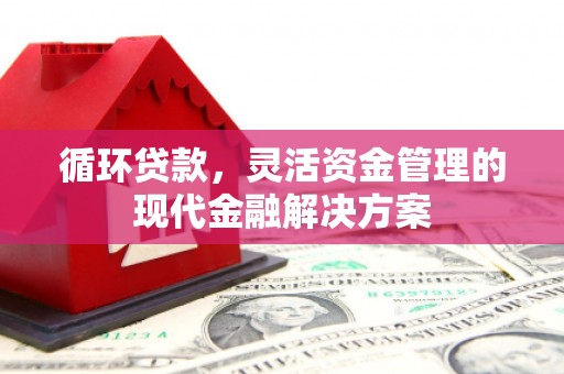 闻喜循环贷款，灵活资金管理的现代金融解决方案