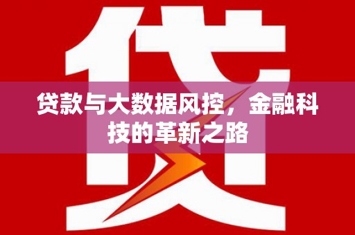 闻喜贷款与大数据风控，金融科技的革新之路