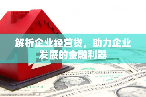 闻喜解析企业经营贷，助力企业发展的金融利器