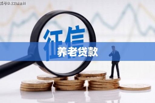 闻喜养老贷款