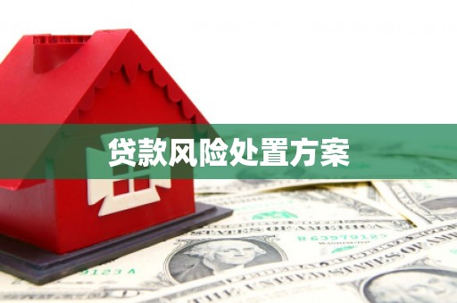 闻喜贷款风险处置方案
