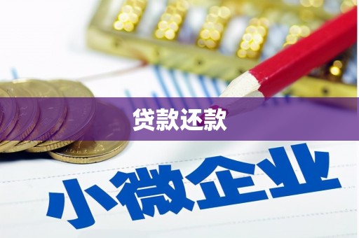 闻喜贷款还款