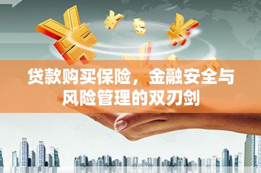 闻喜贷款购买保险，金融安全与风险管理的双刃剑