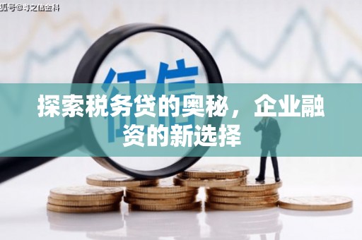 闻喜探索税务贷的奥秘，企业融资的新选择