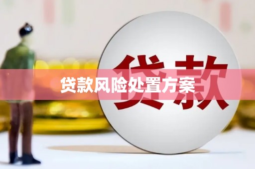 闻喜贷款风险处置方案