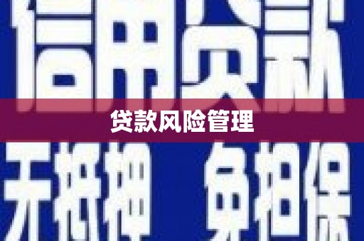 闻喜贷款风险管理