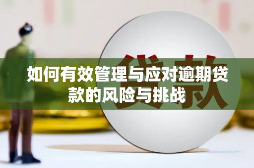 闻喜如何有效管理与应对逾期贷款的风险与挑战