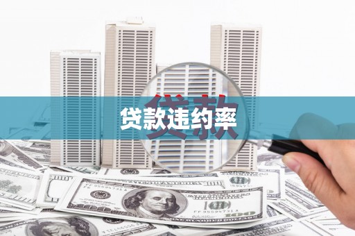 闻喜贷款违约率