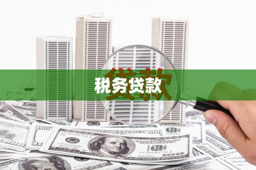 闻喜税务贷款