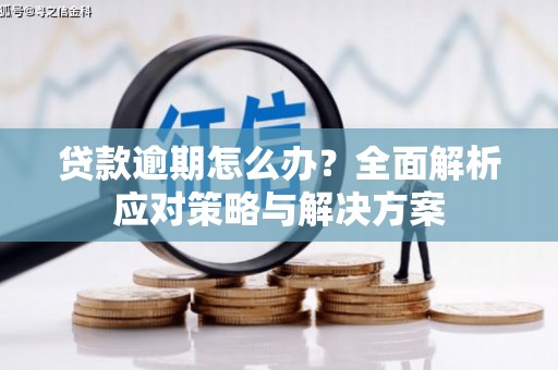 闻喜贷款逾期怎么办？全面解析应对策略与解决方案