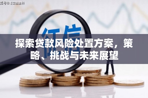 闻喜探索贷款风险处置方案，策略、挑战与未来展望