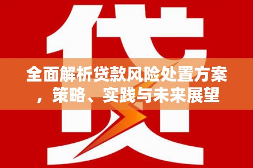 闻喜全面解析贷款风险处置方案，策略、实践与未来展望