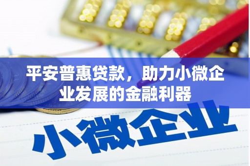 闻喜平安普惠贷款，助力小微企业发展的金融利器