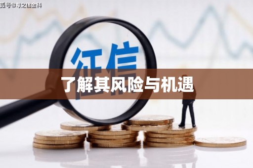 闻喜了解其风险与机遇