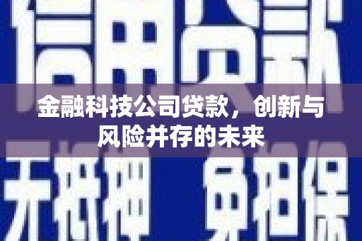 闻喜金融科技公司贷款，创新与风险并存的未来