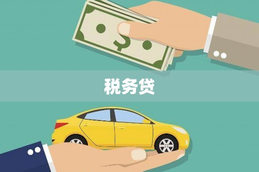 闻喜税务贷