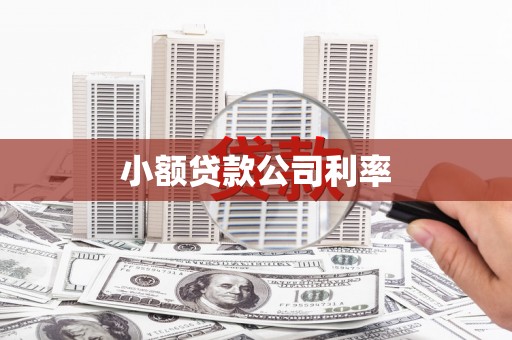 闻喜小额贷款公司利率