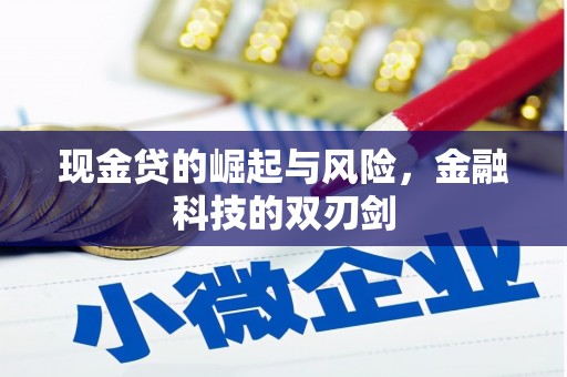 闻喜现金贷的崛起与风险，金融科技的双刃剑