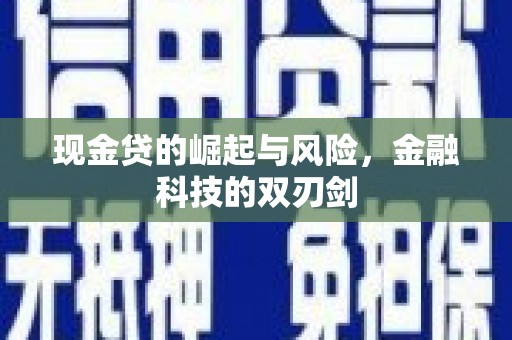 闻喜现金贷的崛起与风险，金融科技的双刃剑