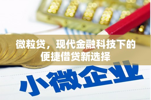 闻喜微粒贷，现代金融科技下的便捷借贷新选择