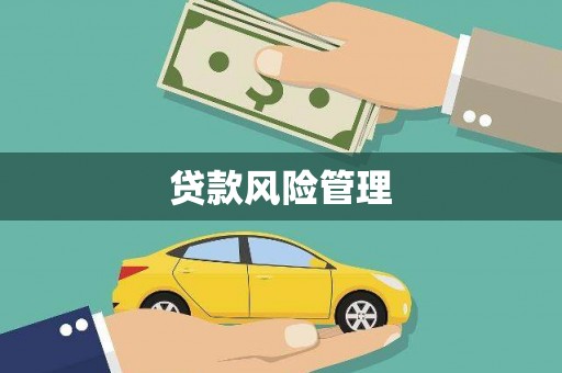 闻喜贷款风险管理