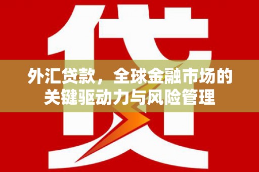 闻喜外汇贷款，全球金融市场的关键驱动力与风险管理