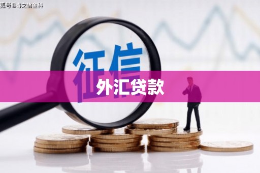 闻喜外汇贷款