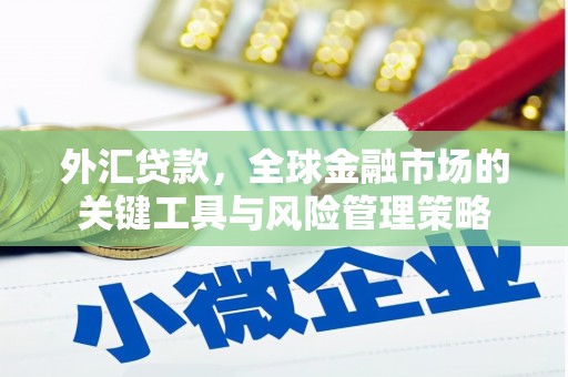 闻喜外汇贷款，全球金融市场的关键工具与风险管理策略