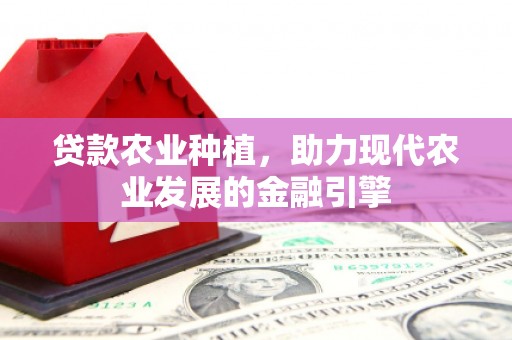 闻喜贷款农业种植，助力现代农业发展的金融引擎