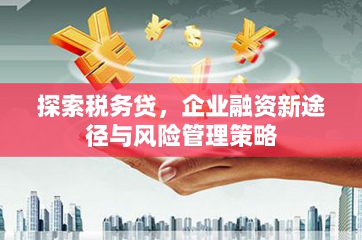 闻喜探索税务贷，企业融资新途径与风险管理策略