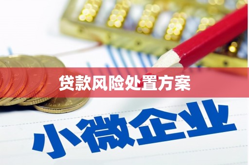 闻喜贷款风险处置方案