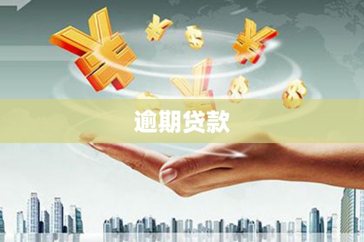 闻喜逾期贷款