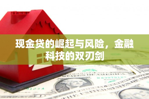闻喜现金贷的崛起与风险，金融科技的双刃剑