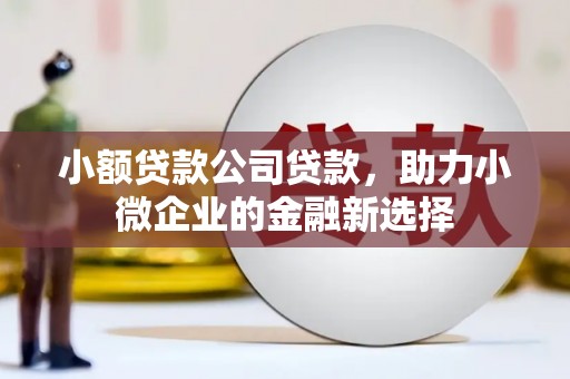 闻喜小额贷款公司贷款，助力小微企业的金融新选择