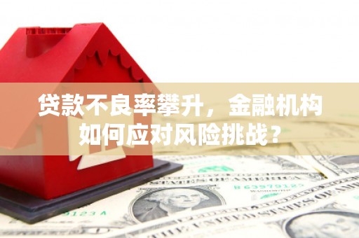 闻喜贷款不良率攀升，金融机构如何应对风险挑战？