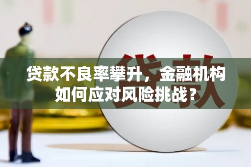 闻喜贷款不良率攀升，金融机构如何应对风险挑战？