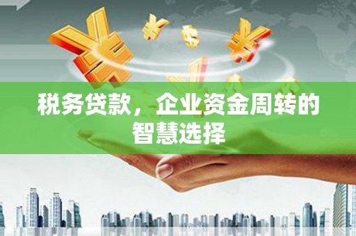 闻喜税务贷款，企业资金周转的智慧选择