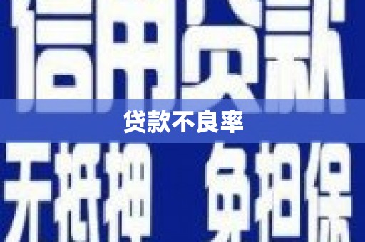 闻喜贷款不良率